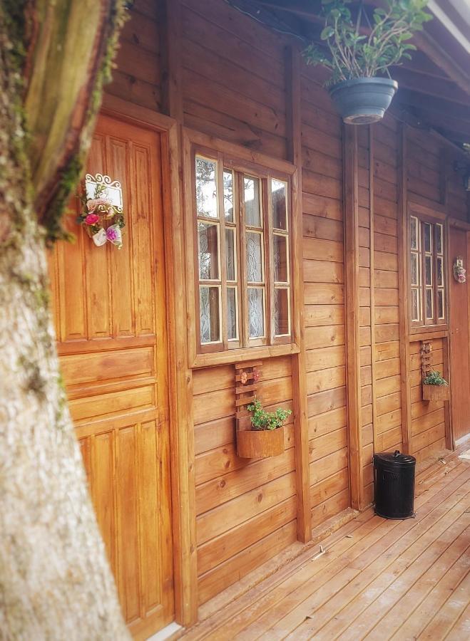 Chales Alpes Do Vale- Gramado Exterior foto